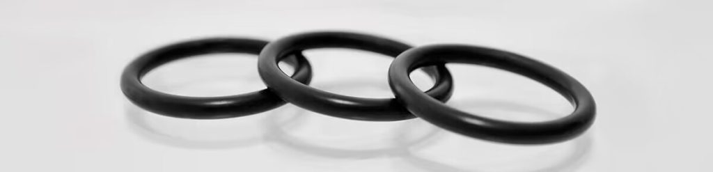 anello o ring in fluorocarbonio fkm