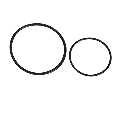 Dynamic O ring seals