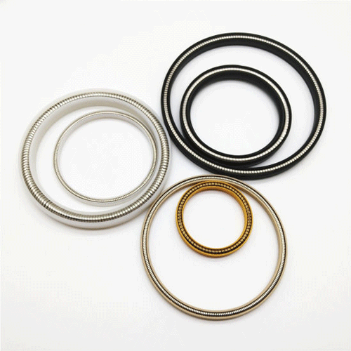 spring loaded rotary shaft seal 1
