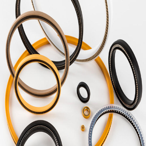 Rotary Spring Energized Seals