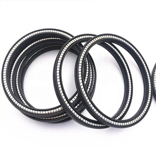 Spring Energized Seal Ring for High Pressure